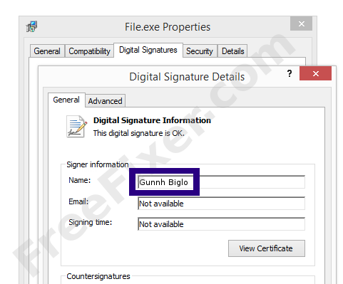 Screenshot of the Gunnh Biglo certificate